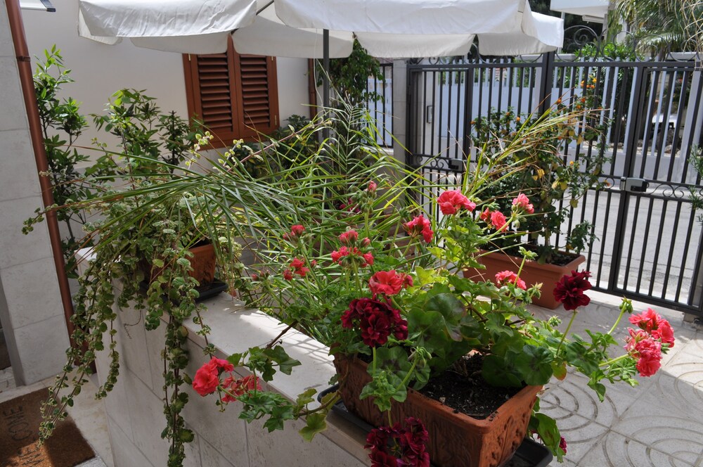Giardino