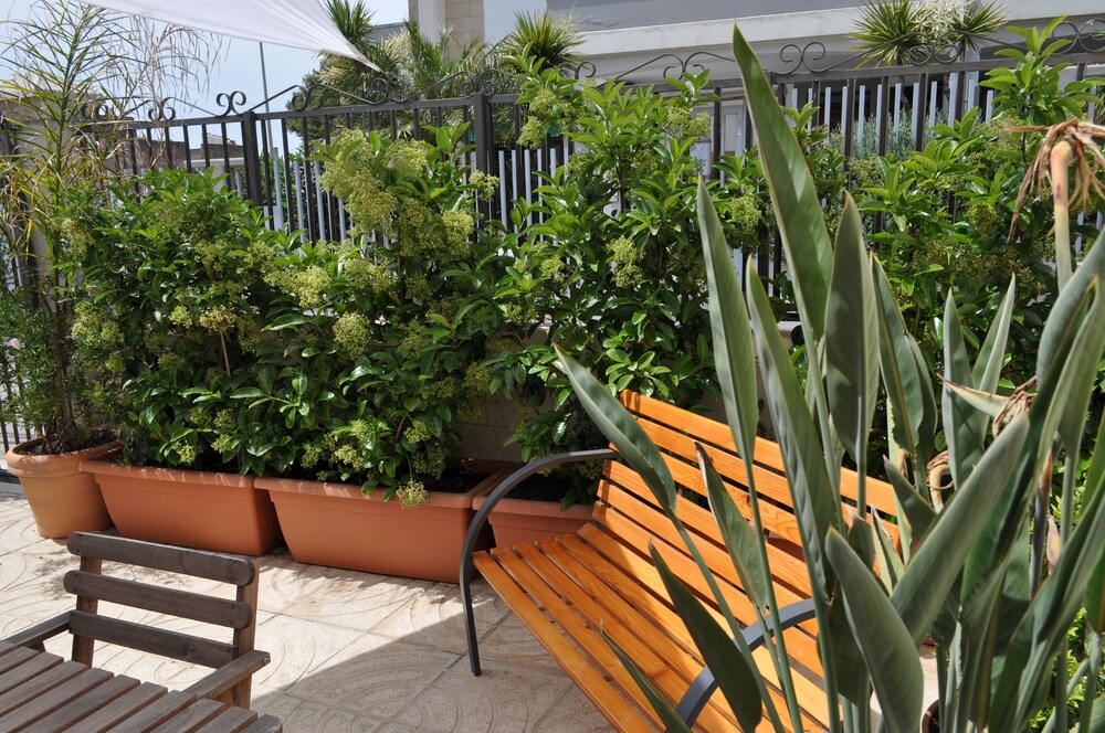 Giardino