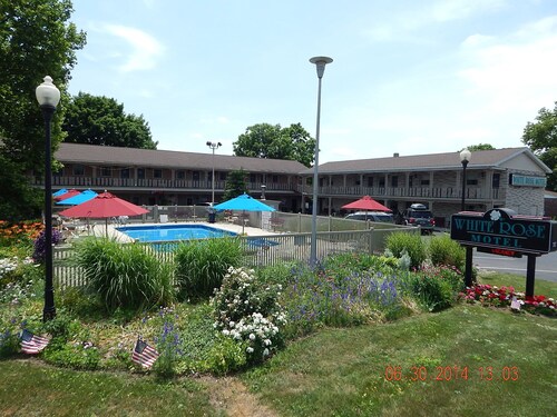 White Rose Motel