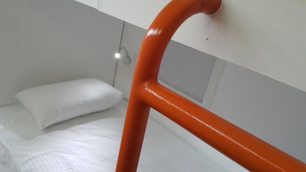 대표 사진