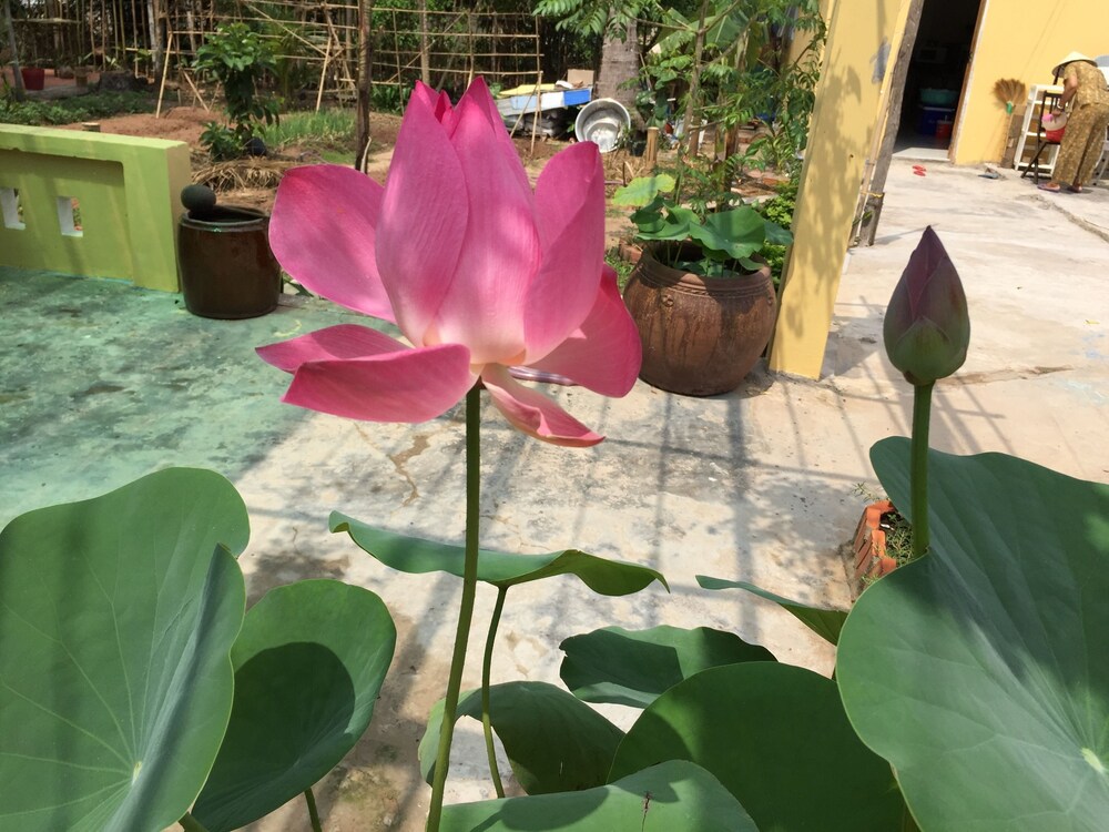 정원 전망