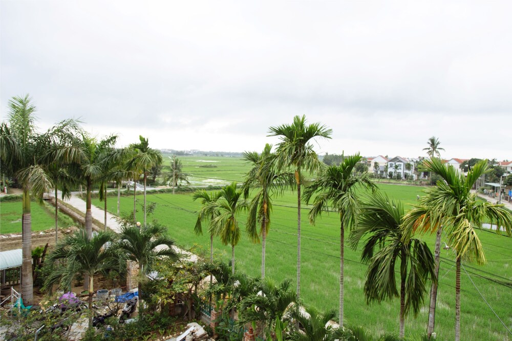Quang cảnh từ khách sạn