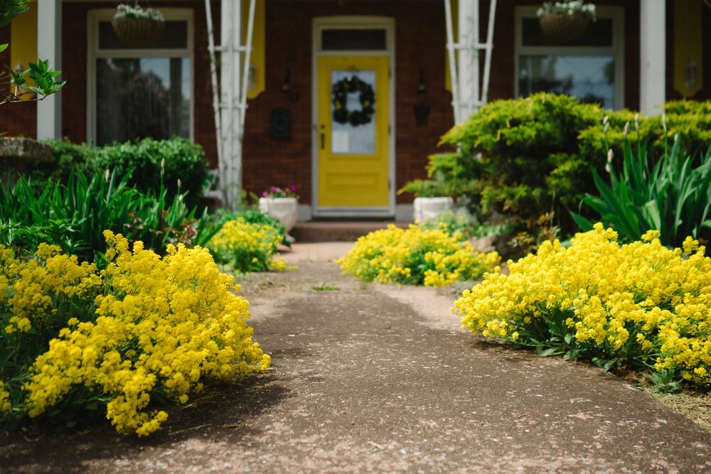Hotel Entrance