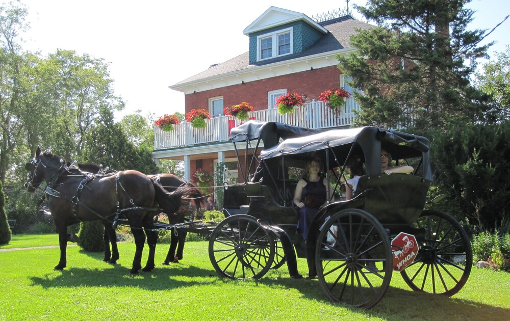 Outdoor Wedding Area