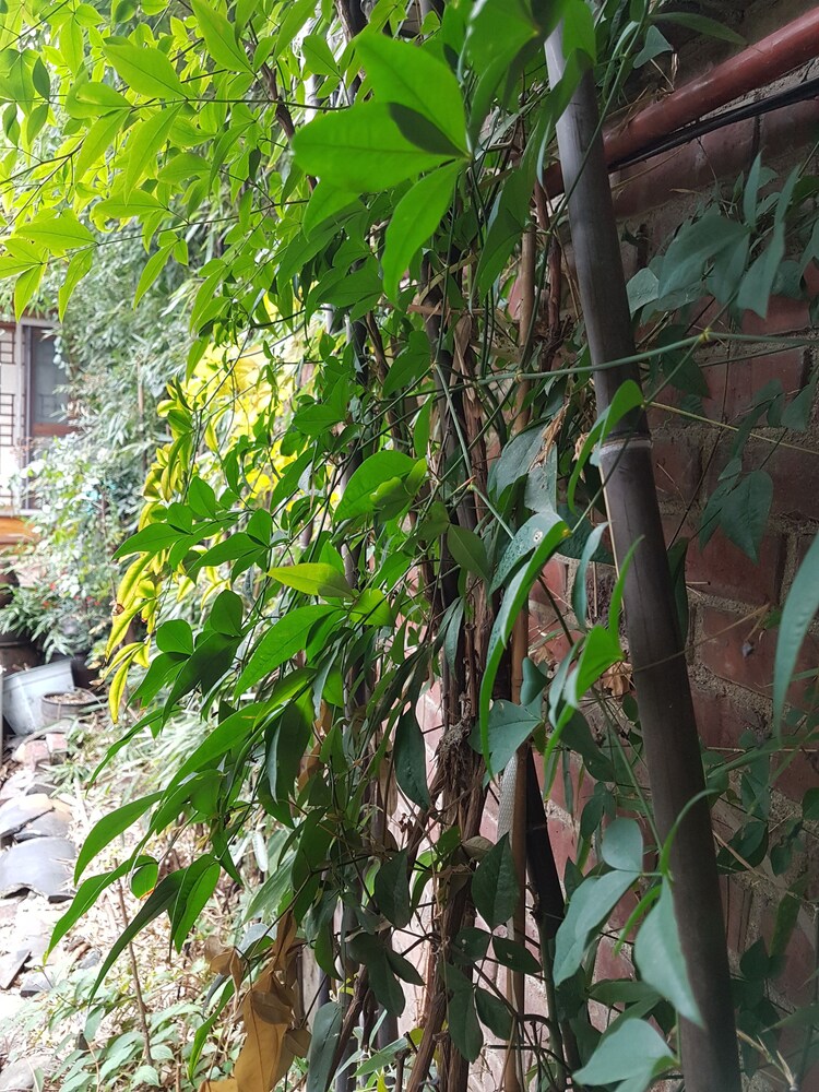 호텔 내부