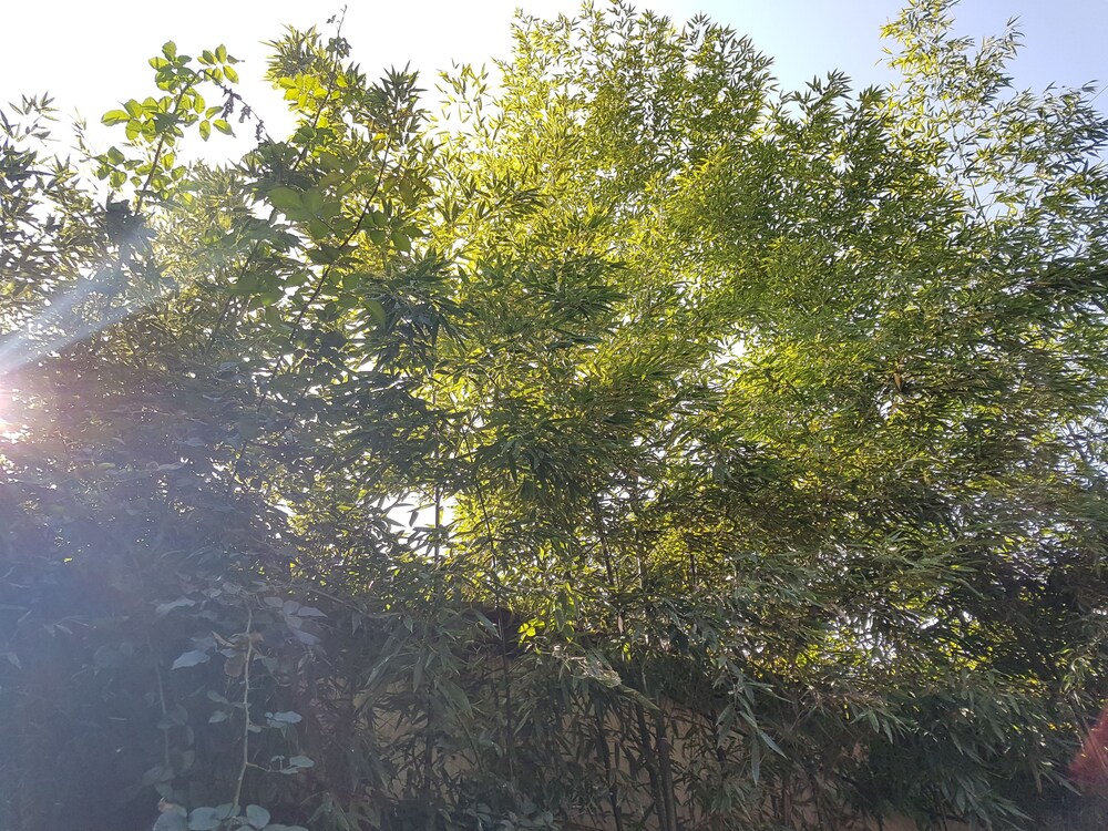 호텔 내부