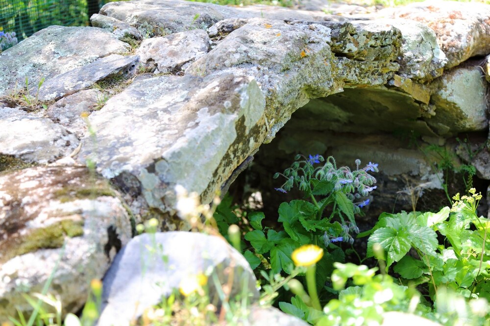 Giardino