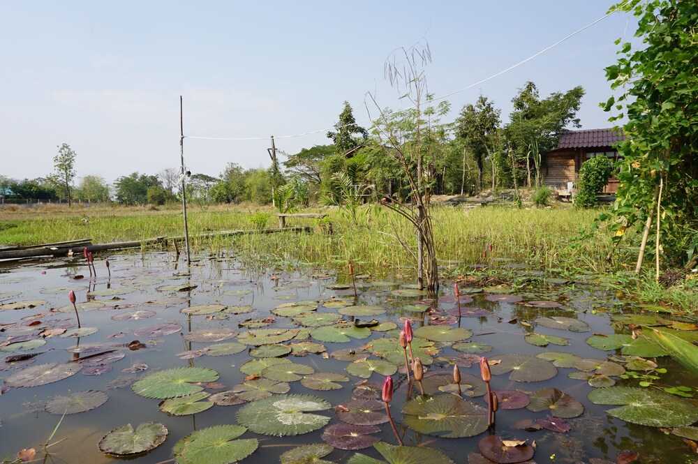 บริเวณโรงแรม
