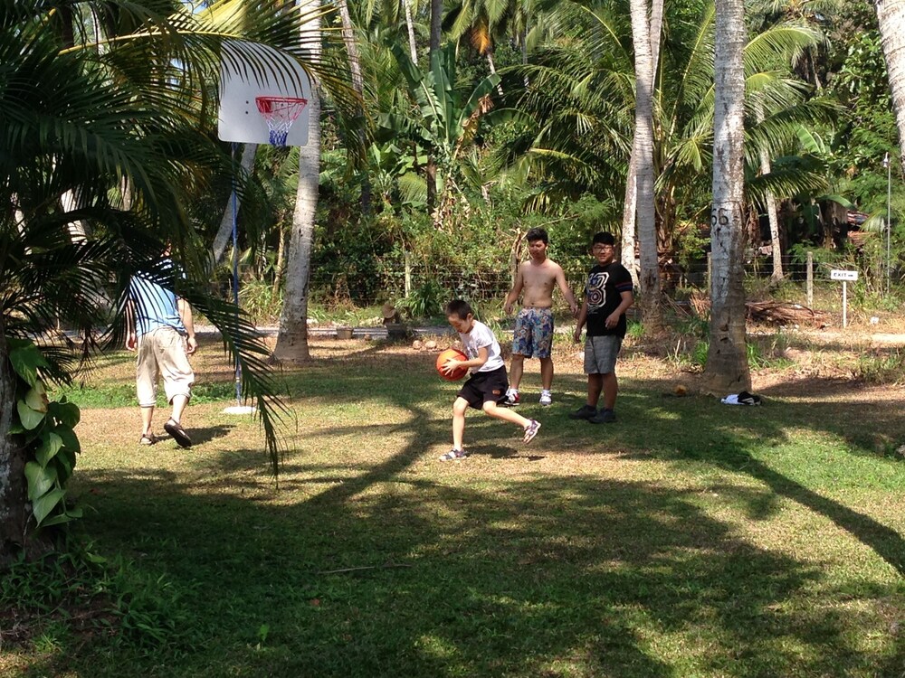 Basketball Court