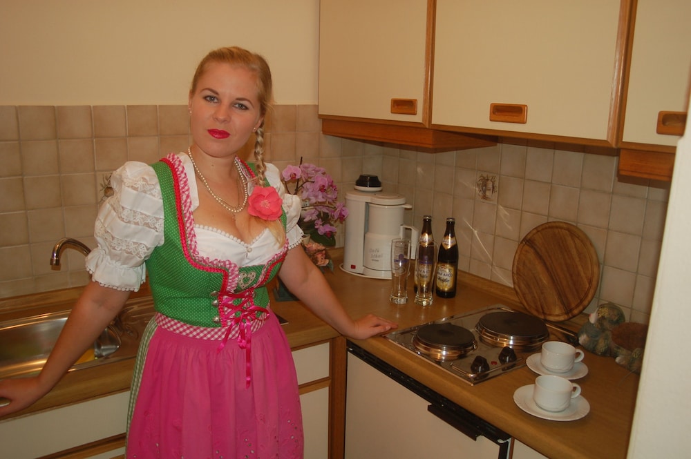 Küche im Zimmer (Apartment, Küche)