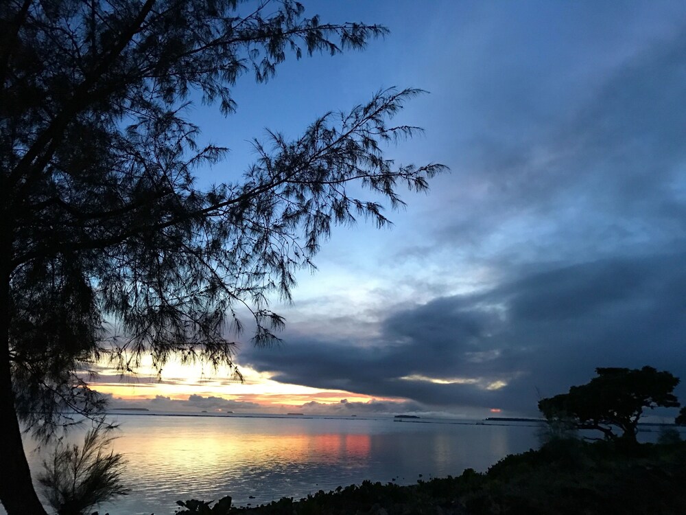 Beach/Ocean View