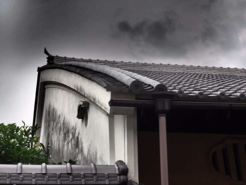외관 세부 사진