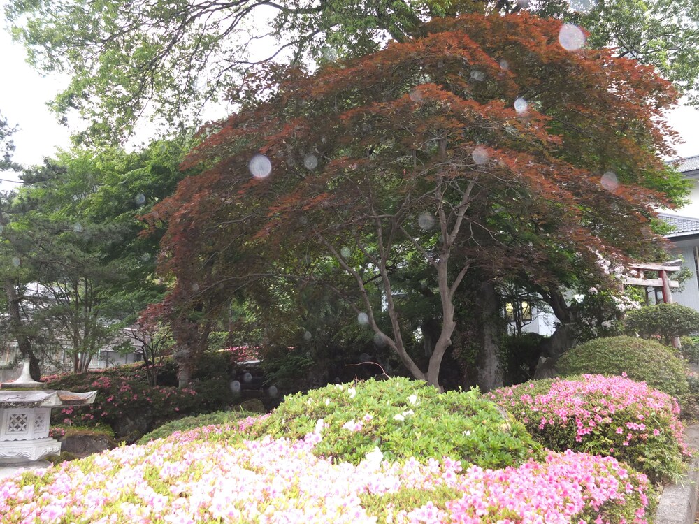 庭園