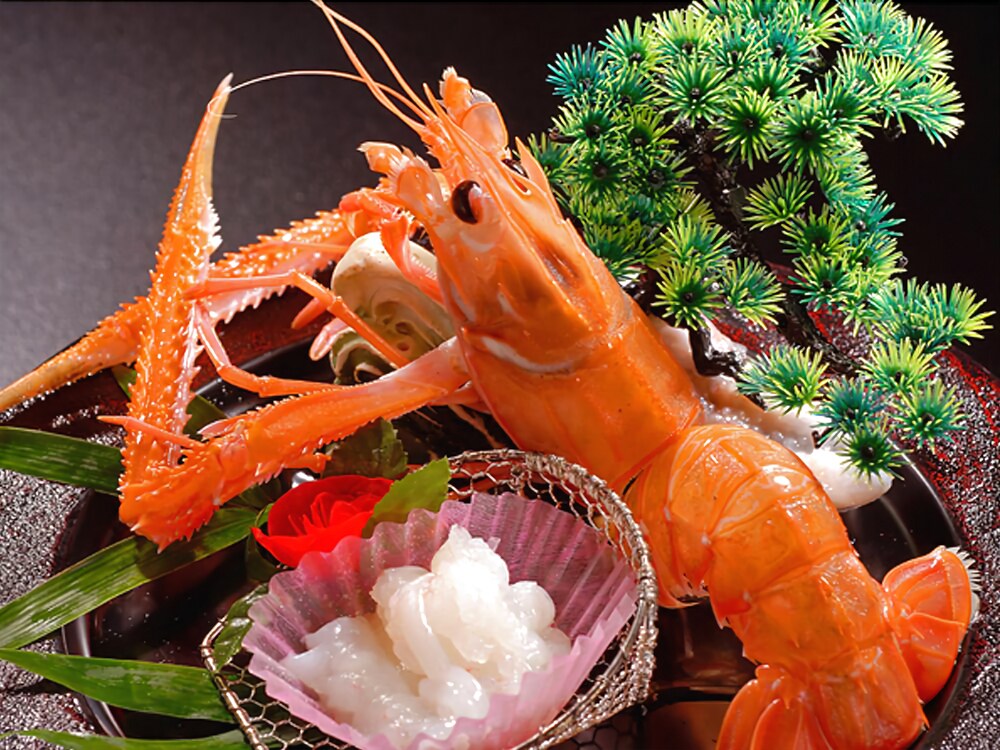 식사 및 음료