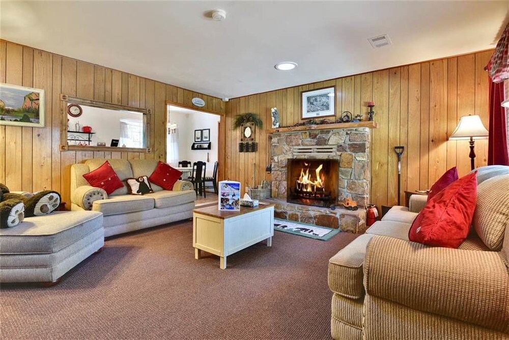 거실 공간 (3 Little Bears Cabin - 2 Bdrm, 1 Bath)