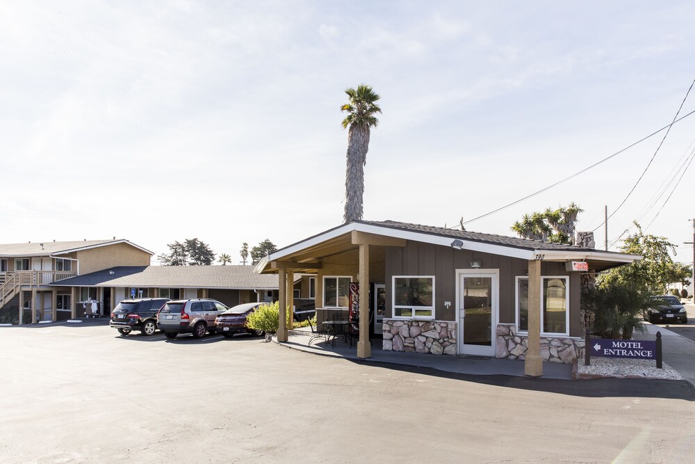 Property grounds, Ocean Palms Motel