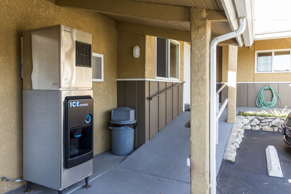 Property grounds, Ocean Palms Motel