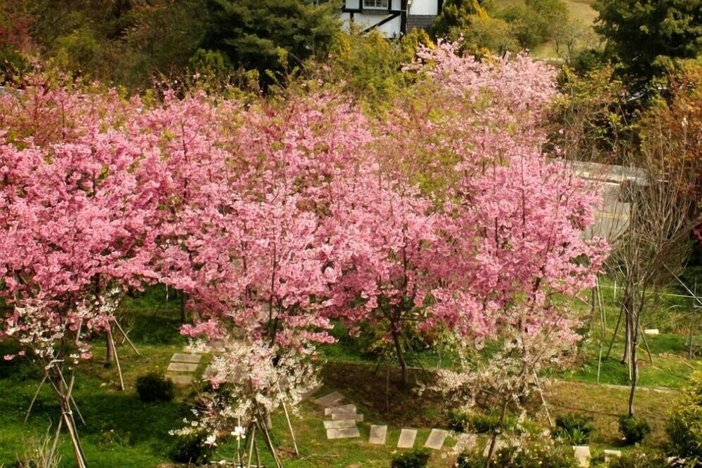 산 전망