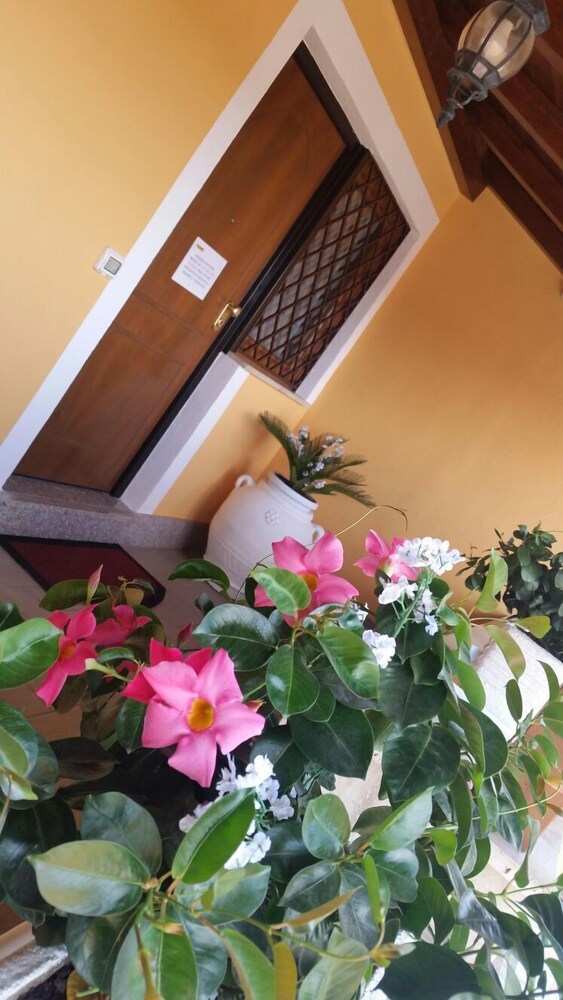 Detalle del exterior