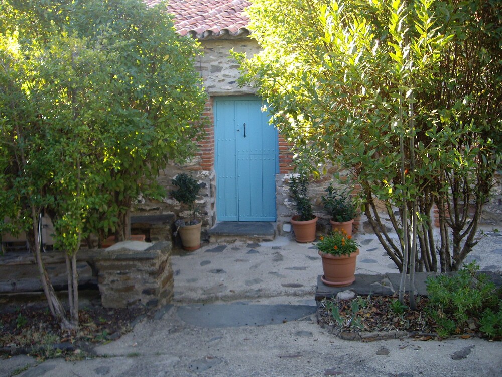 Terraza