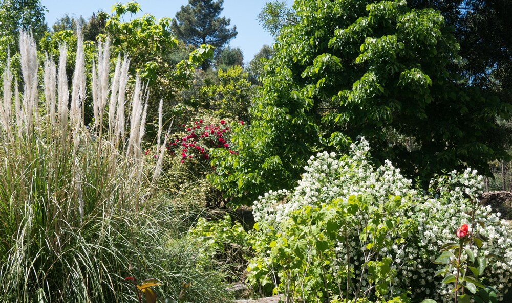 Jardines del establecimiento