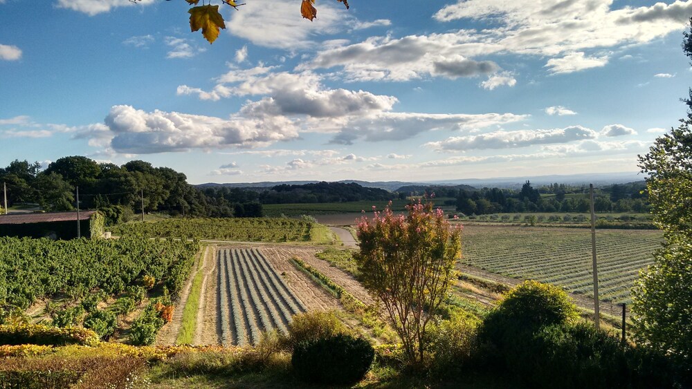 Vue depuis l'hôtel