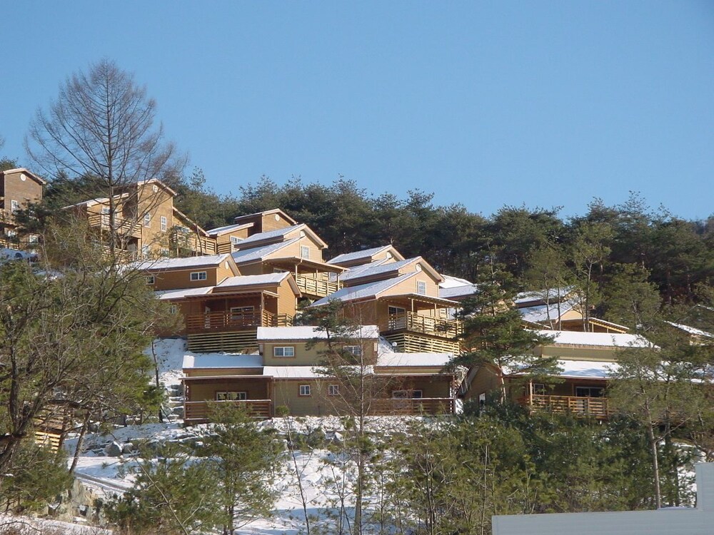 대표 사진