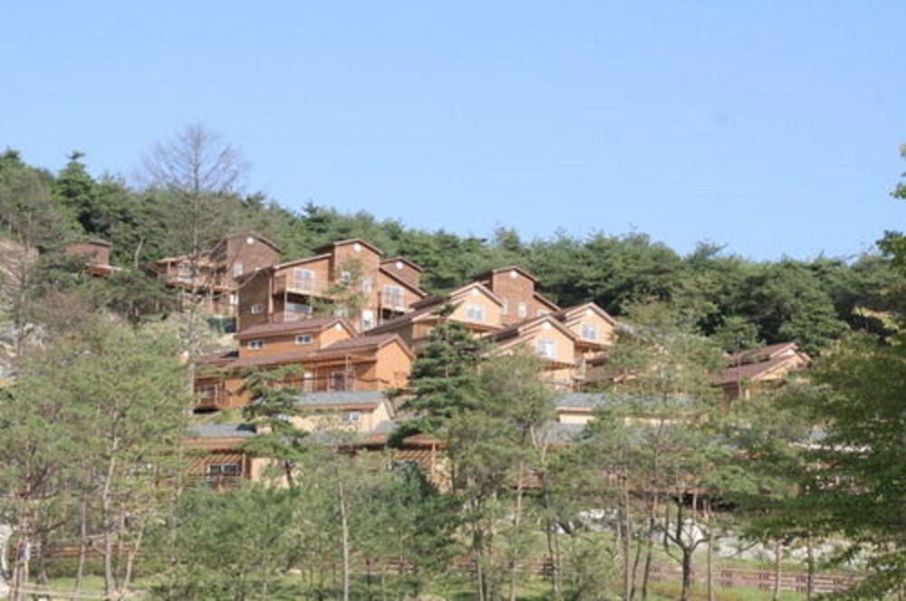 대표 사진