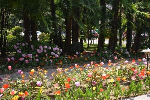Parco della struttura
