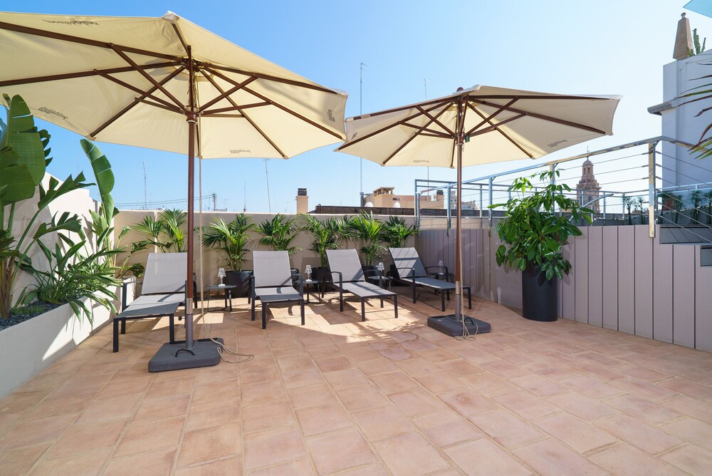 Terras