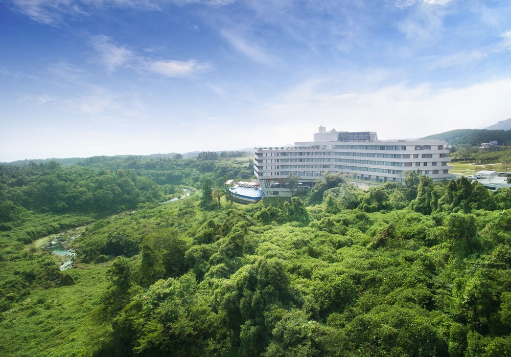 대표 사진