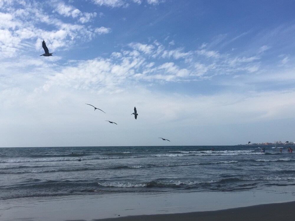 기타