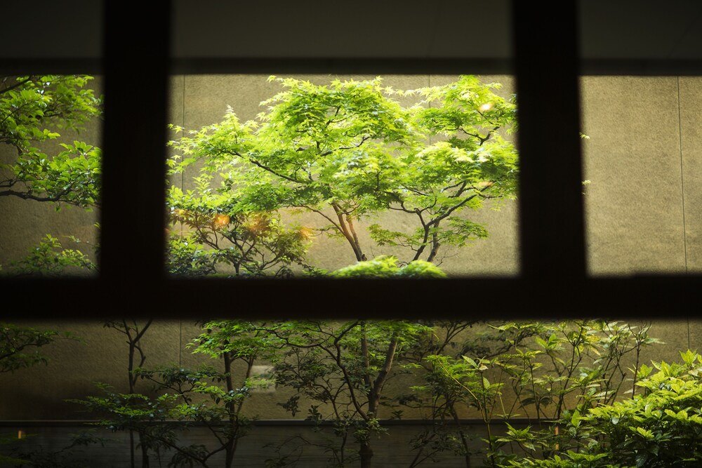 정원