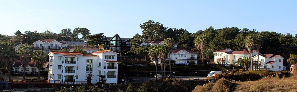 산 전망