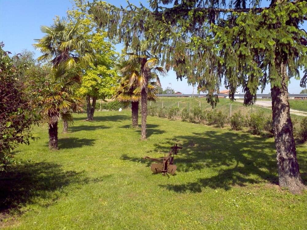 Giardino
