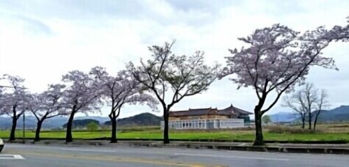 거리 전망