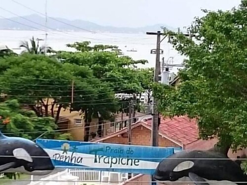 대표 사진