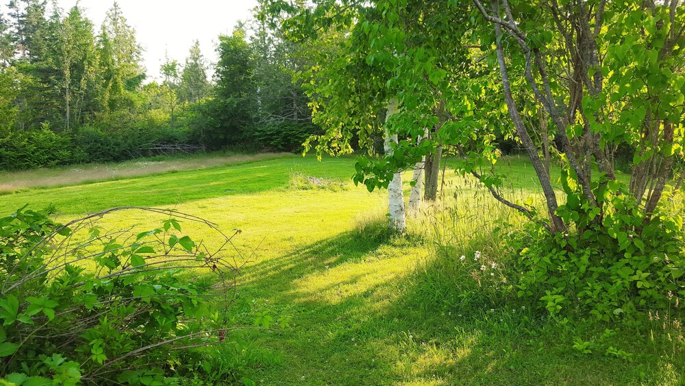 Sports Facility