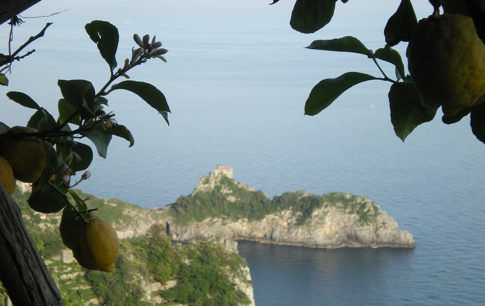 외관 세부 사진