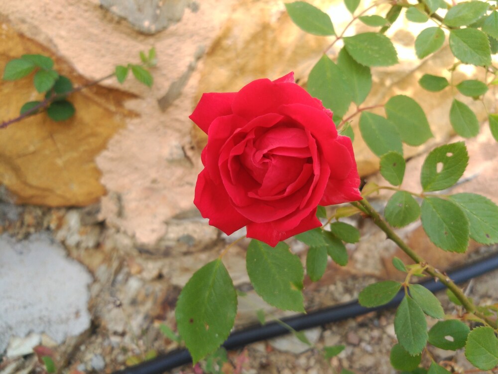 외관 세부 사진