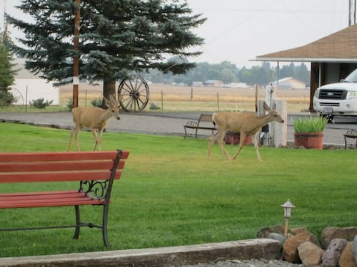 Rim Rock Motel