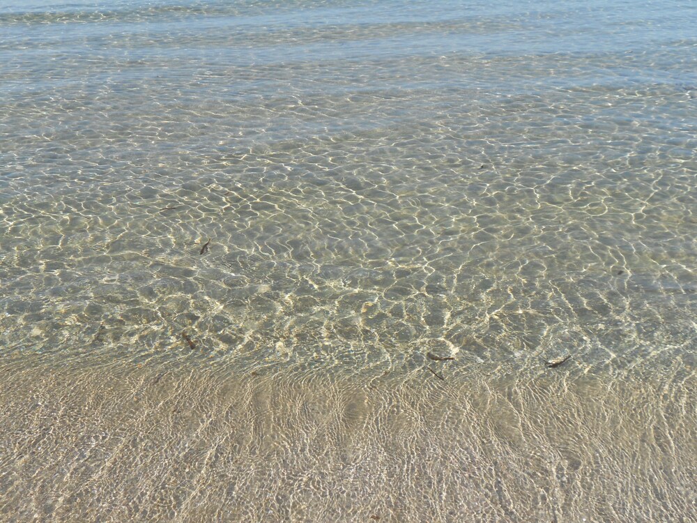 해변