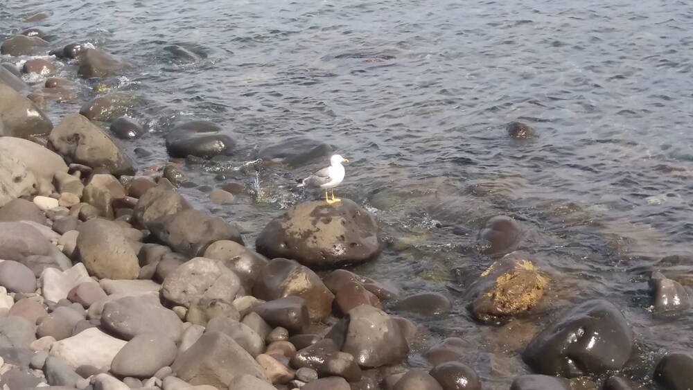 해변