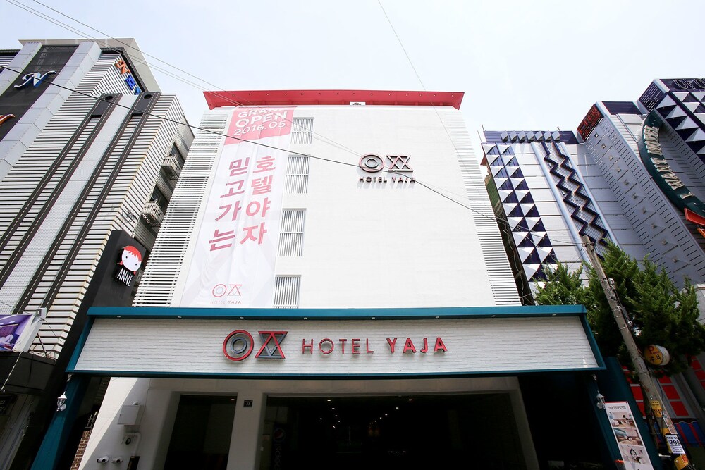 대표 사진