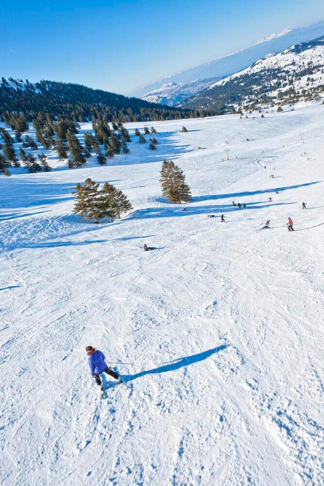 Skiing