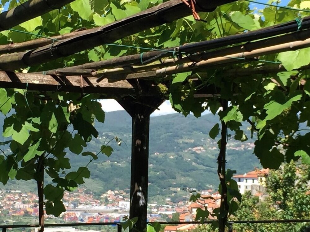 대표 사진