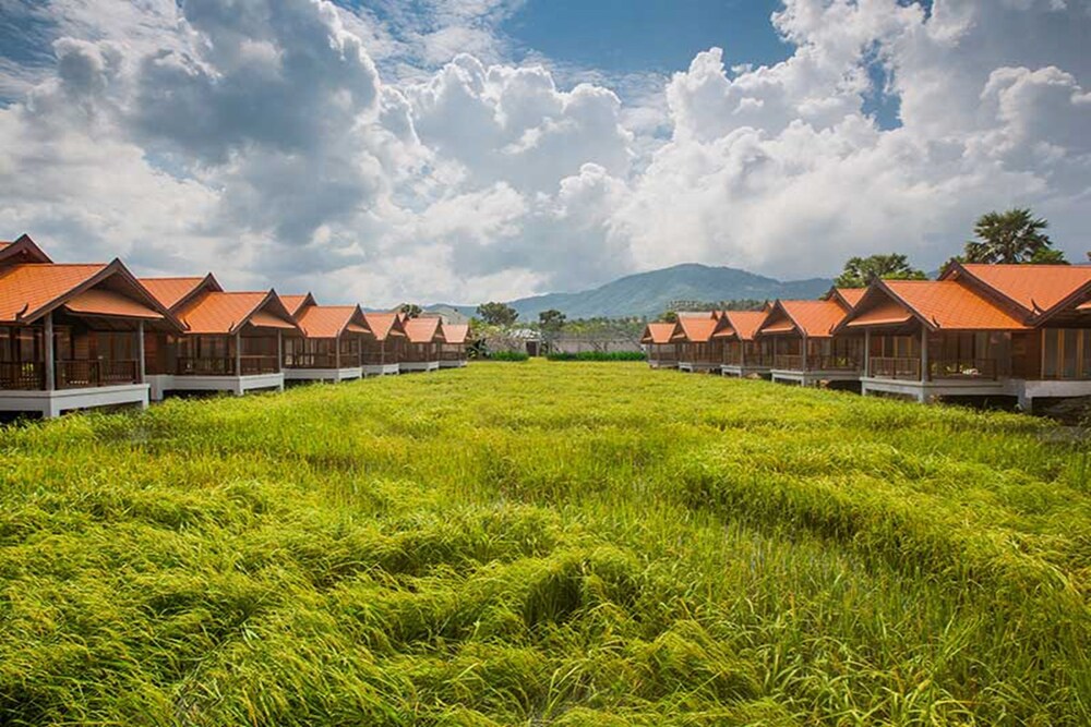 외관 세부 사진
