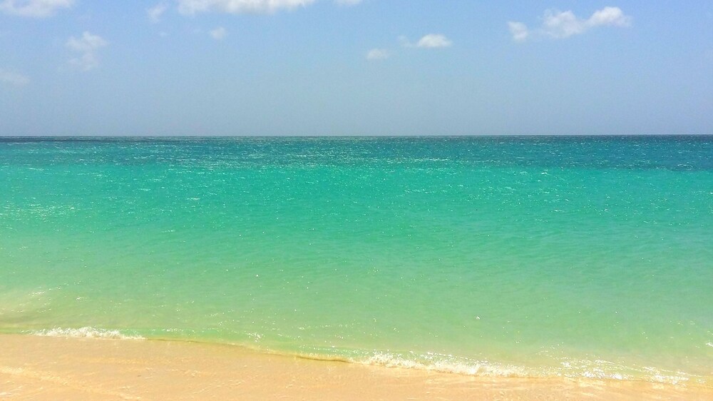 해변