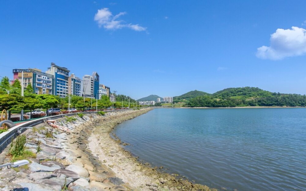 대표 사진