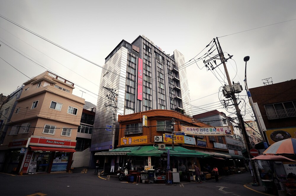 대표 사진